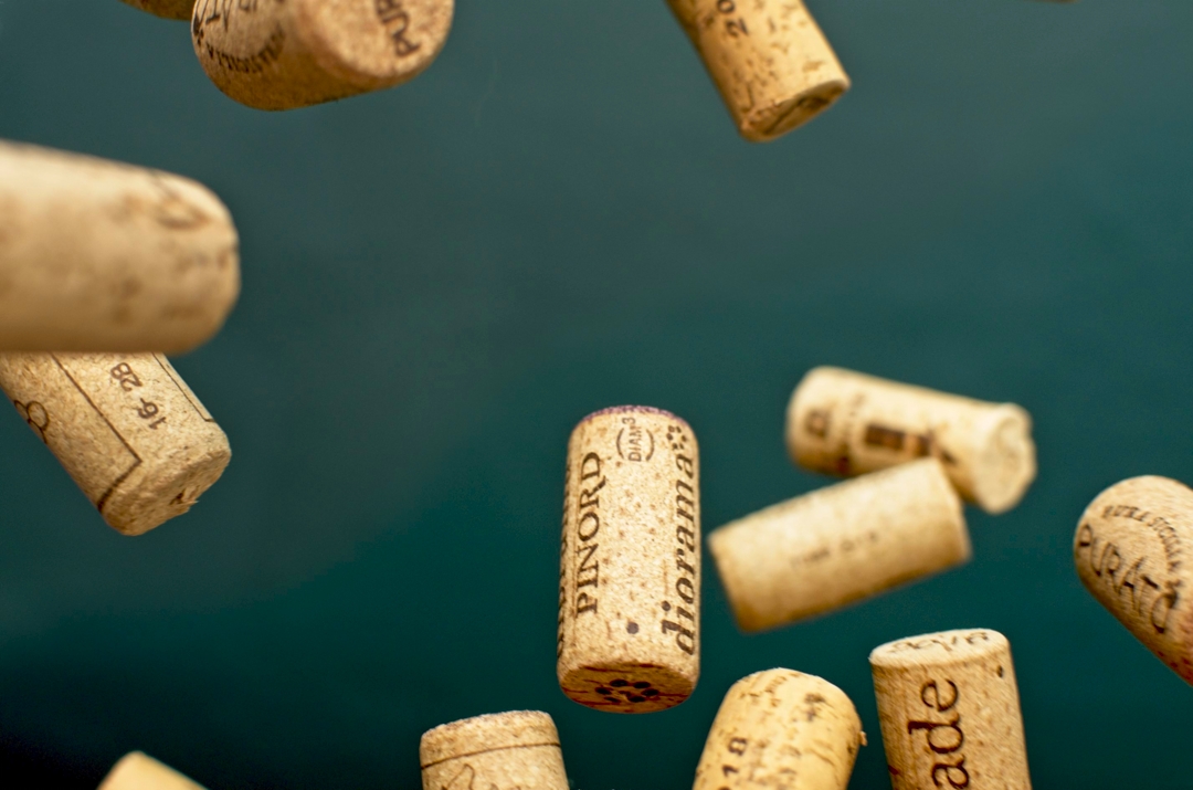 20200314_kurken6_Focus